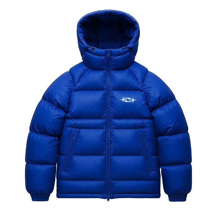 2k down jacket I NERVOZ